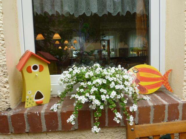 Gasthaus Forelle Thale Exterior photo